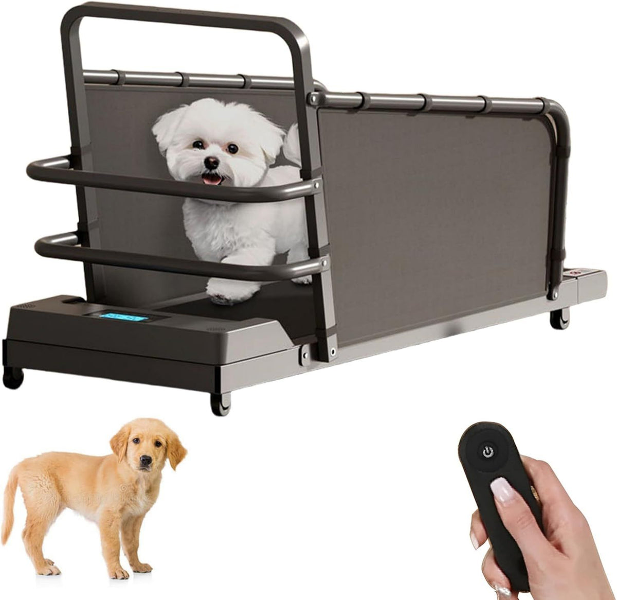 Tapis roulant pour chien – réglable, avec télécommande, avec roulettes, vitesse réglable, 100 kg, 220 lb, 12 niveau x