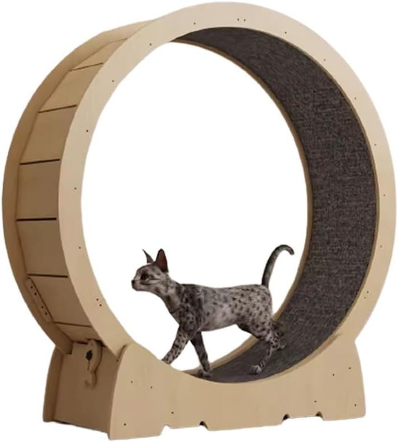 Roue d'exercice pour chat – fonctionnement silencieux