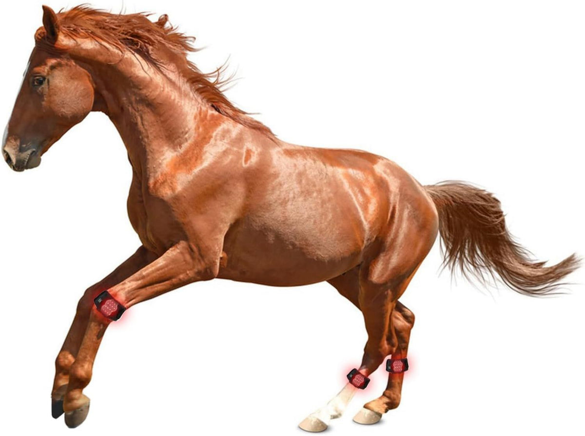 Appareil De Luminothérapie LED Rouge pour Sabots De Chevaux - affichage LED
