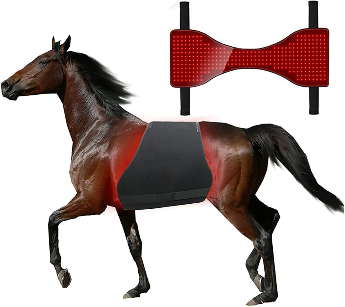 Appareil De Luminothérapie LED Rouge pour Le Corps Entier du: affichage LED, 660 Nm, 850 Nm