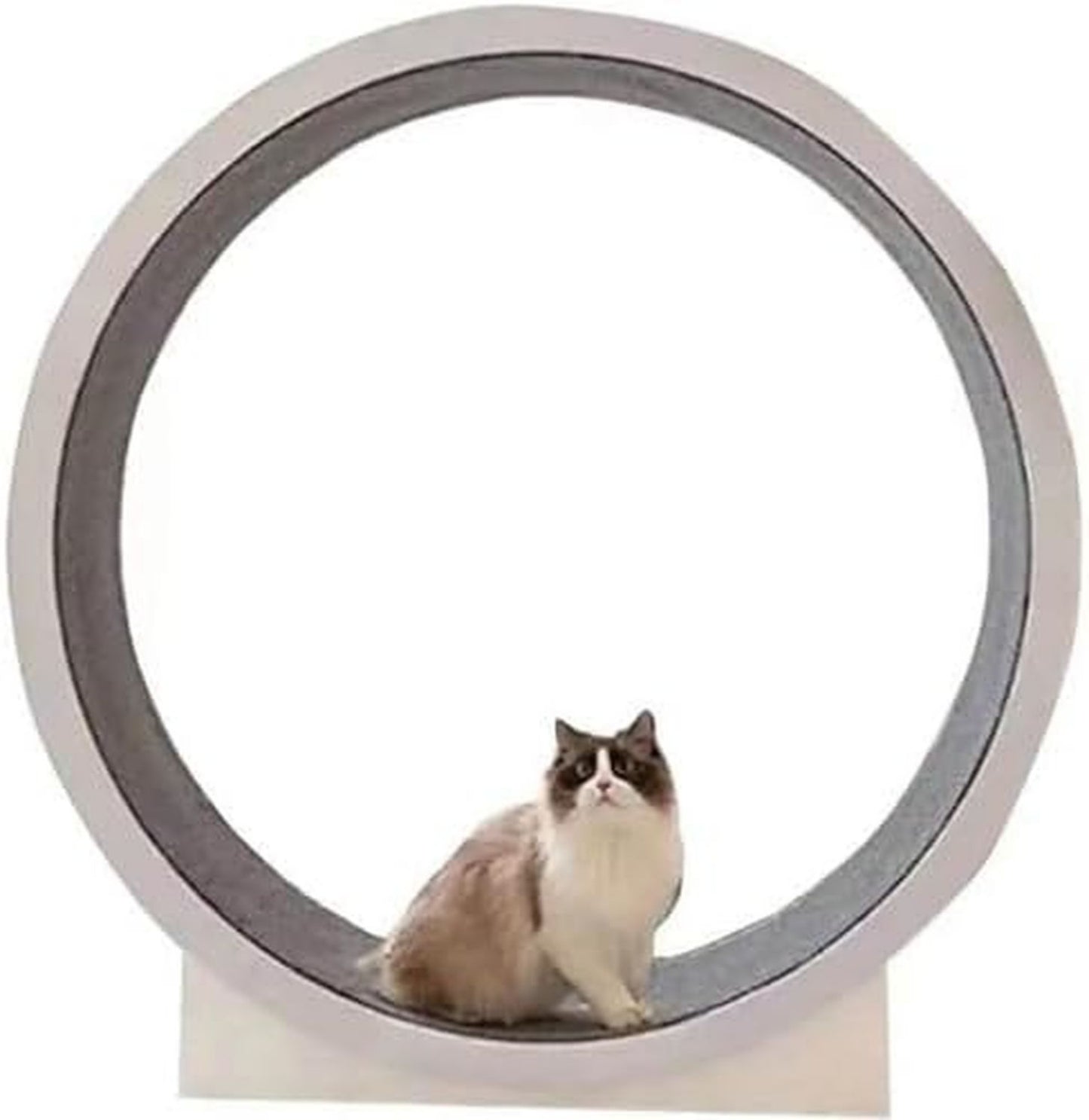 Roue d'exercice pour chat - fonctionnement silencieux