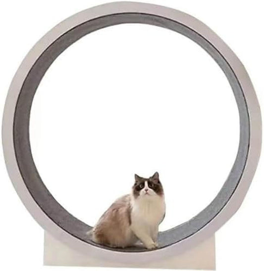 Roue d'exercice pour chat - fonctionnement silencieux