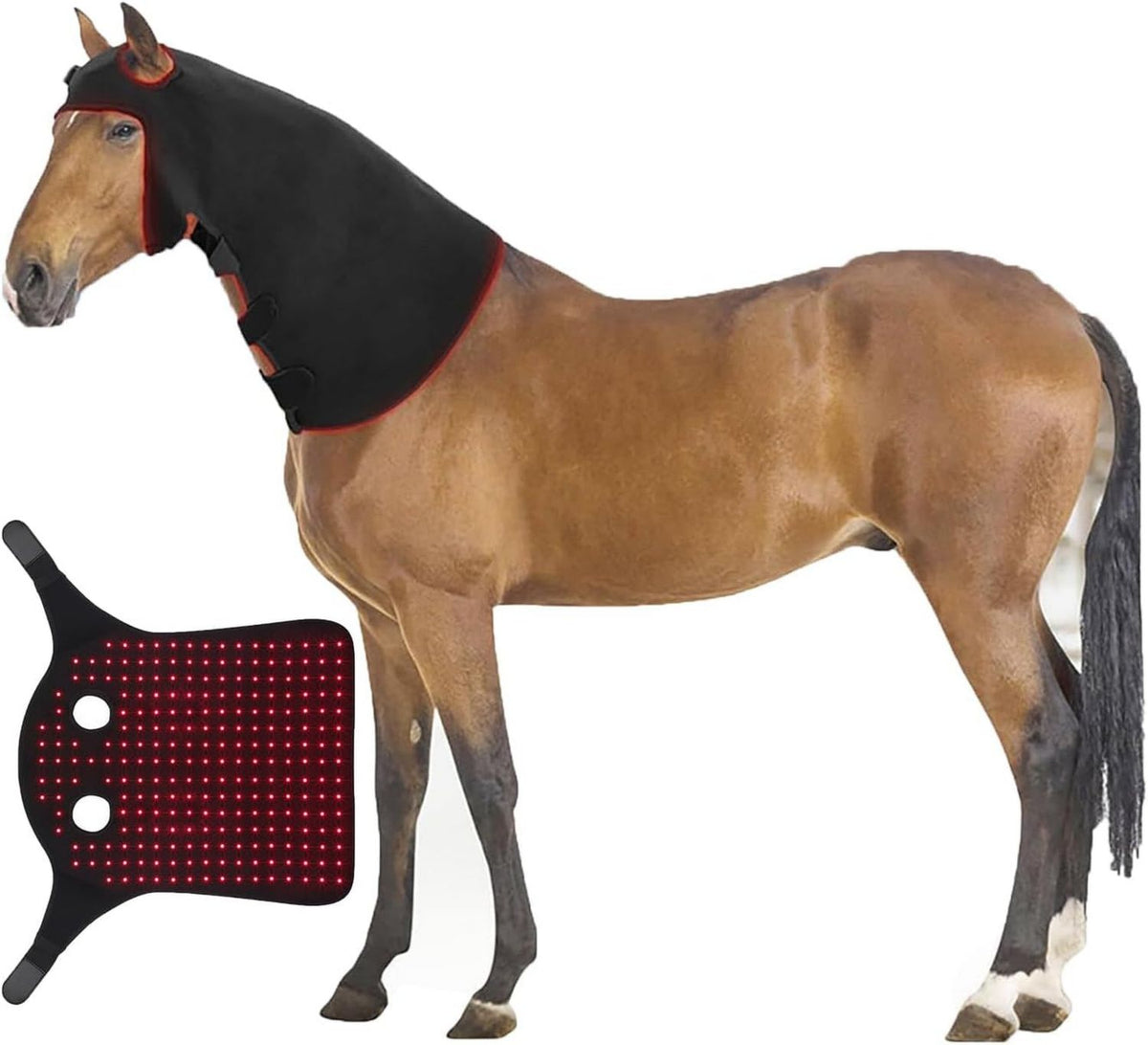 Appareil de luminothérapie à LED Rouge pour Chevaux: affichage LED, format portable