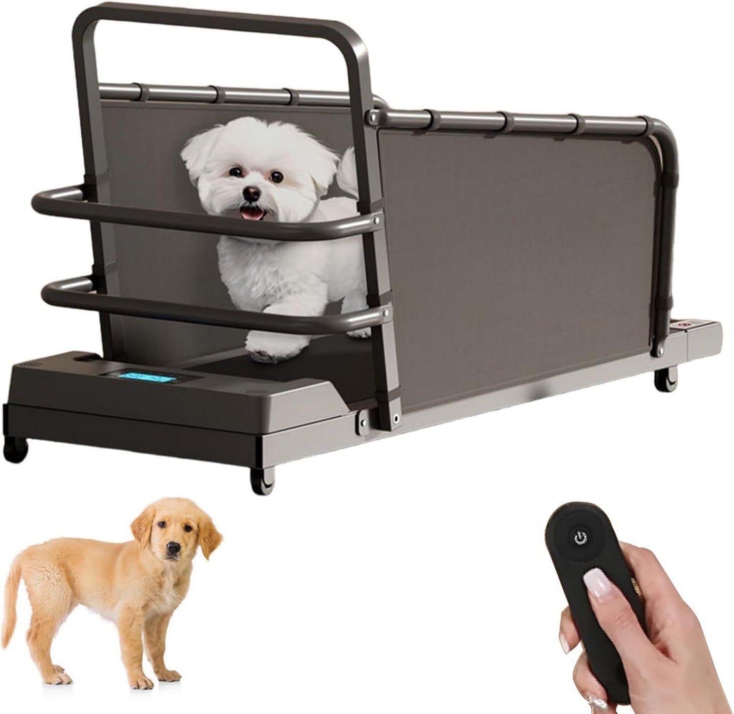 Tapis roulant pour chien – réglable, avec télécommande, avec roulettes, vitesse réglable, 100 kg, 220 lb, 12 niveau x