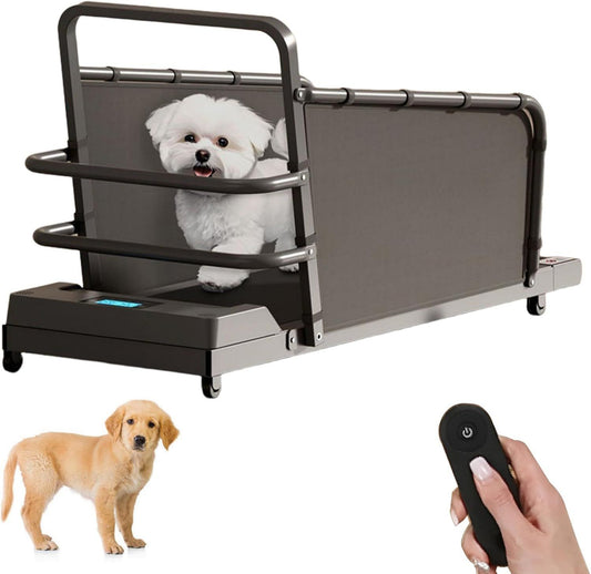 Tapis roulant pour chien – réglable, avec télécommande, avec roulettes, vitesse réglable, 100 kg, 220 lb, 12 niveau x