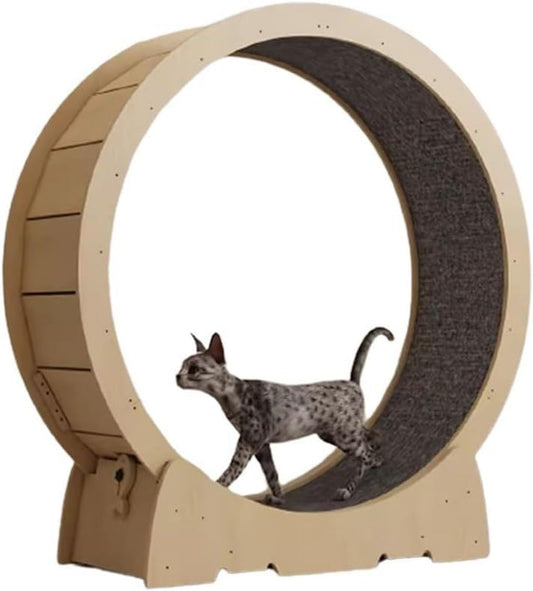 Roue d'exercice pour chat – fonctionnement silencieux
